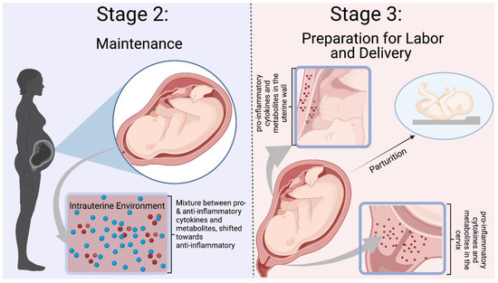 Biomedicines 11 00171 g003 550