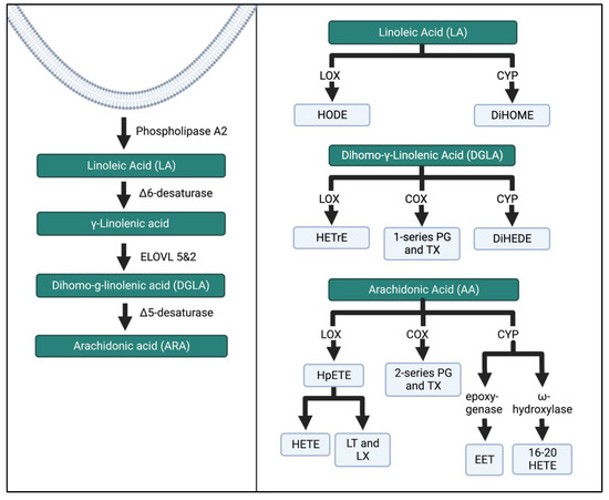 Biomedicines 11 00171 g004 550