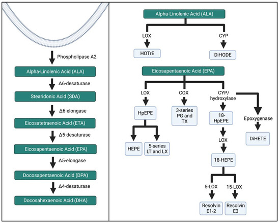 Biomedicines 11 00171 g005 550