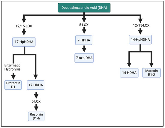 Biomedicines 11 00171 g006 550