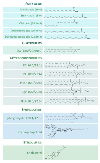 Antioxidants 12 00177 g001 550