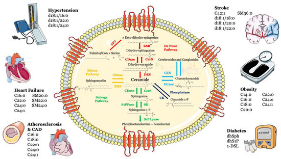 Biomolecules 13 00168 g001 550