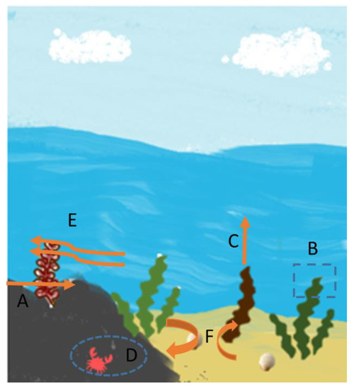 Hydrobiology 02 00006 g001 550