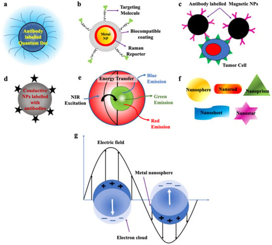 Pharmaceutics 15 00280 g003 550