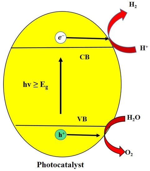 Catalysts 13 00173 g001 550