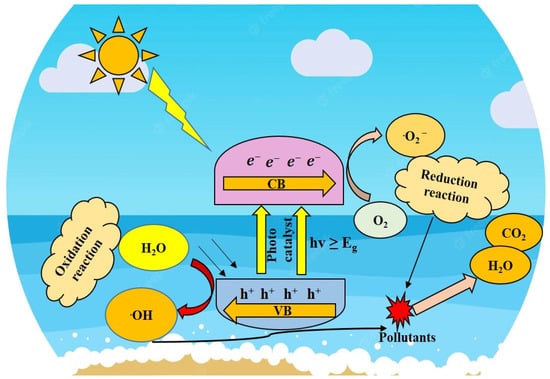 Catalysts 13 00173 g002 550