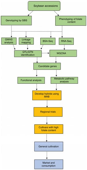 Agronomy 13 00241 g005 550