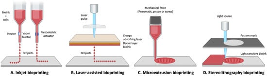 Bioengineering 10 00093 g003 550