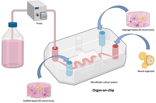 Bioengineering 10 00093 g004 550