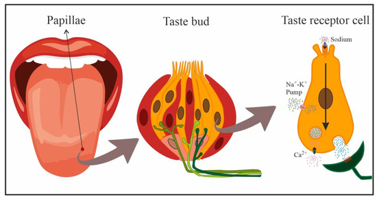 Nutrients 15 00395 g002 550