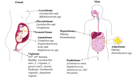 Microorganisms 11 00239 g001 550