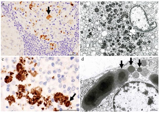 Microorganisms 11 00289 g002 550