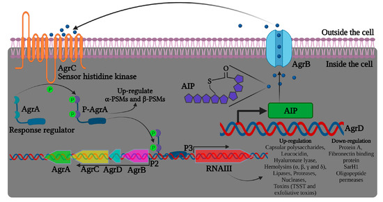 Pharmaceutics 15 00310 g002 550