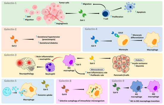 Medicines 10 00015 g002 550