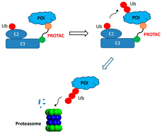 Molecules 28 00917 g002 550