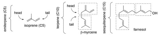 Molecules 28 00901 g001 550