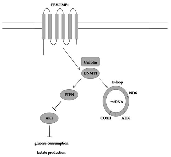 Molecules 28 01441 g006 550
