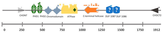 Cells 12 00532 g002 550