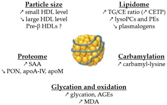 Metabolites 13 00253 g001 550