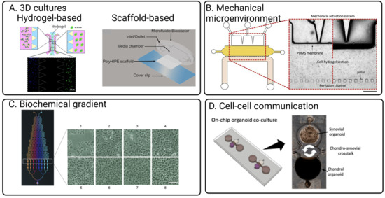 Cells 12 00579 g003 550