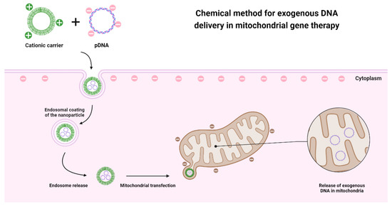 Pharmaceutics 15 00572 g003 550