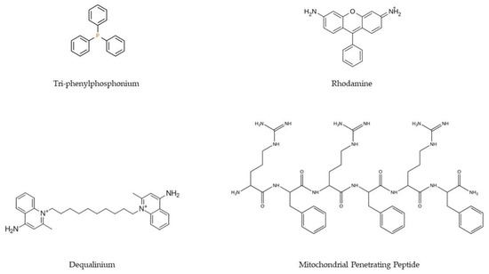 Pharmaceutics 15 00572 g004 550