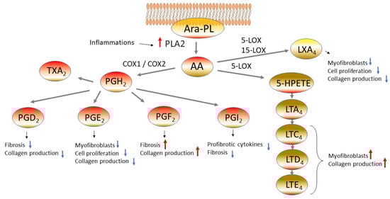 Cells 12 00548 g001 550
