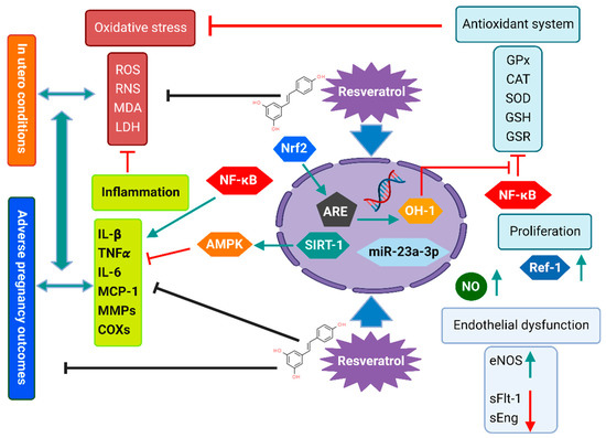 Antioxidants 12 00341 g001 550