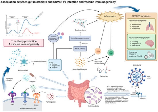 Microorganisms 11 00452 g001 550