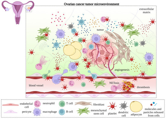 Cancers 15 01282 g001 550