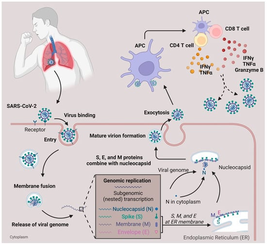 Pathogens 12 00321 g001 550