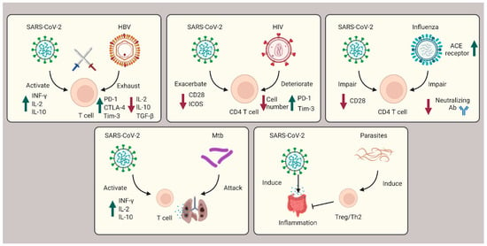 Pathogens 12 00321 g003 550