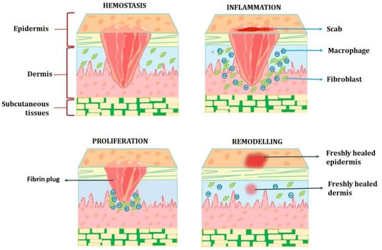 Pharmaceutics 15 00634 g001 550