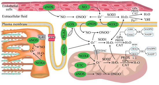 Antioxidants 12 00501 g001 550