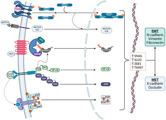 Biomolecules 13 00398 g002 550