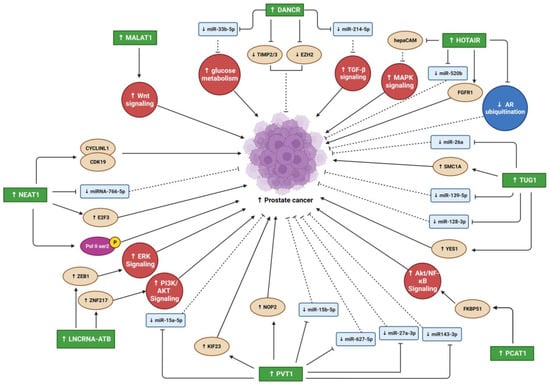 Biomedicines 11 00633 g002 550