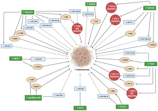 Biomedicines 11 00633 g003 550