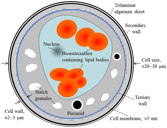 Molecules 28 02089 g002 550