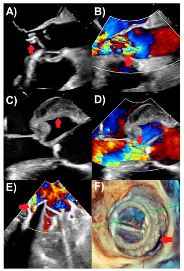 Life 13 00639 g002 550
