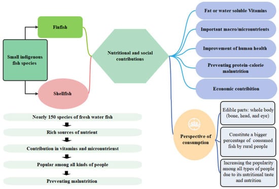 Hydrobiology 02 00014 g002 550