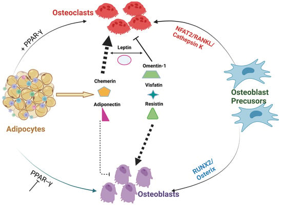 Biomedicines 11 00644 g001 550