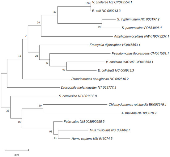 Microorganisms 11 00632 g001 550