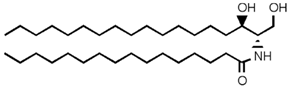 Biophysica 03 00011 i005