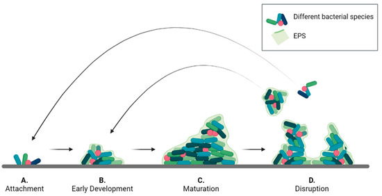 Nanomaterials 13 00904 g001 550