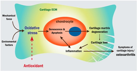 Antioxidants 12 00594 g006 550