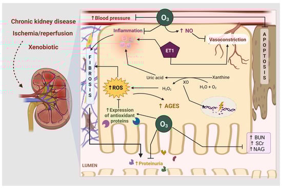 Life 13 00752 g002 550