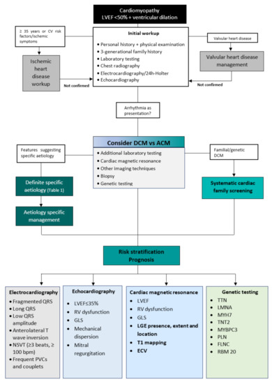 Biomedicines 11 00834 g001 550