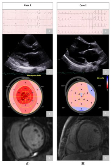 Biomedicines 11 00834 g002 550