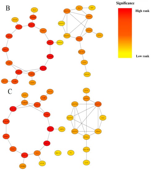 Ijms 24 05280 g002b 550