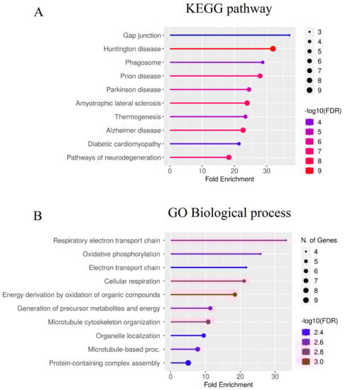Ijms 24 05280 g003 550